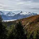 Alm Zellamsee Apartment Zell am See