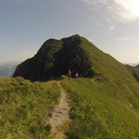 Alm Appartements Zellamsee Apartment *