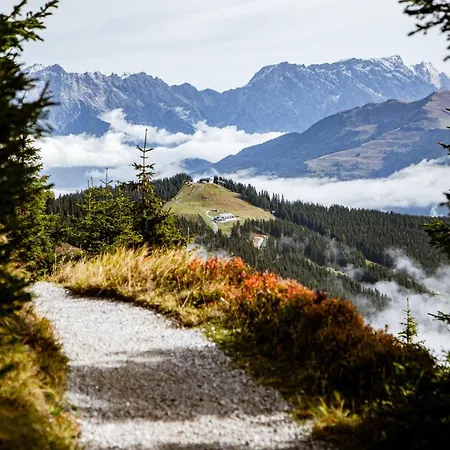 Alm Zellamsee Apartamento *