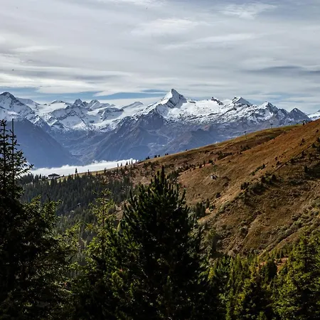 Alm Zellamsee Apartment Zell am See