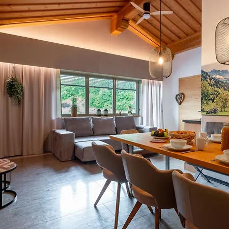 Alm Zellamsee Apartment