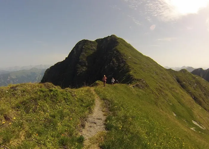 Alm Zellamsee Appartement *