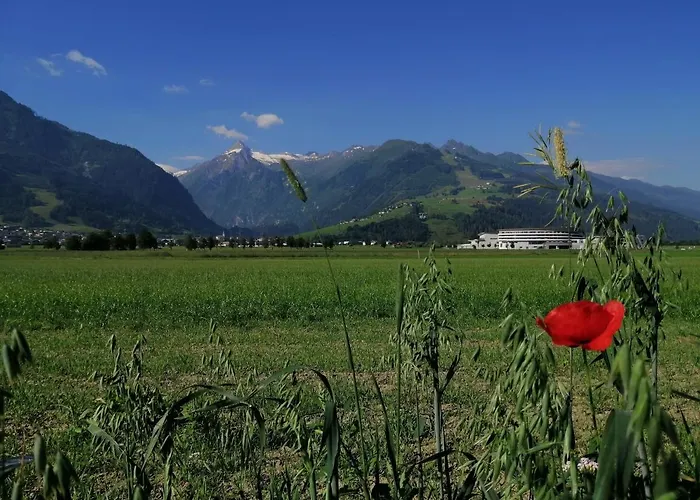 Appartement Alm Zellamsee