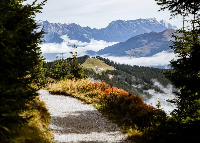 Alm Zellamsee Διαμέρισμα *