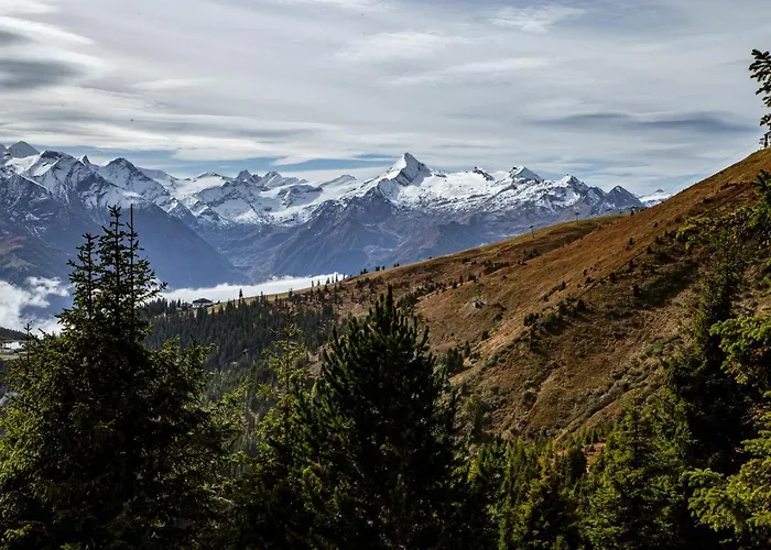 Alm Zellamsee Apartmán Zell am See