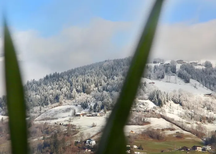 Alm Zellamsee Apartmán *